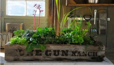 Photo: Designer Farm One Gun Ranch from the U.S.