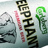 Carlsberg Elephant Beer Turns 50