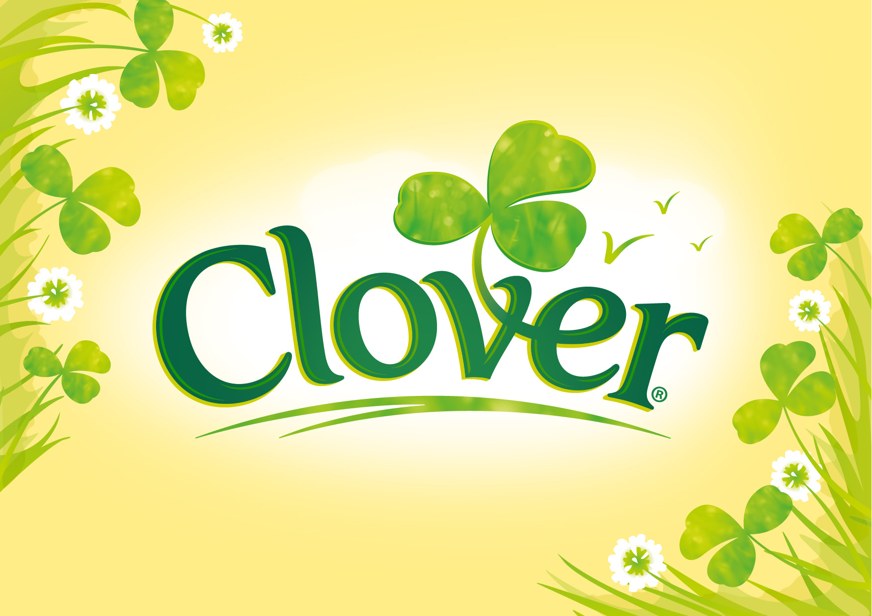 Clover _01