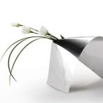 PACKLAB. Partners' Packaging Concept 'Orchid' Blossoms at Prize Ceremony PACKLAB. Partners' Packaging Concept 'Orchid' Blossoms at Prize Ceremony