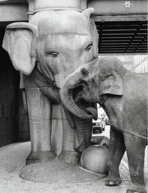 Thaia_the_elephant_at_the_Carlsberg_Elephant_gate_1979