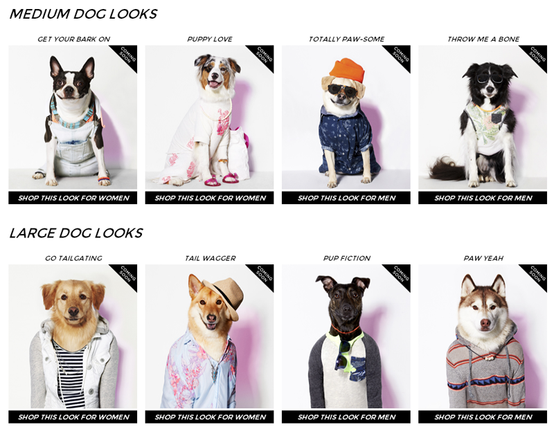 american_eagle_for_dogs_01