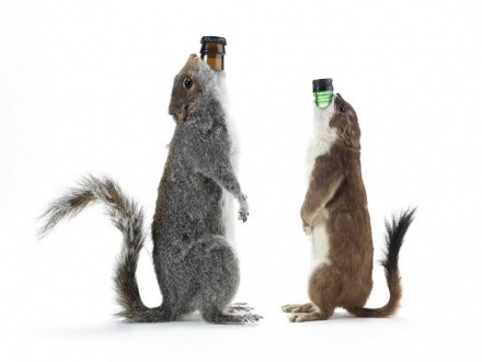 BrewDog «упаковал» пиво в чучела животных