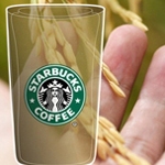 Environmentally Friendly Coffee Cups: Steaming Cheers to the Nature Environmentally Friendly Coffee Cups: Steaming Cheers to the Nature