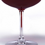 A wine glass for the sommelier