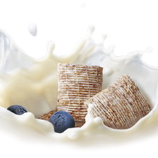 Oat motiffs of Sweden