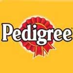Pedigree Launched a Charity Campaign for Abandoned Dogs