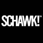 Schawk, Inc. Completes Acquisition of Brandimage–Desgrippes & Laga Schawk, Inc. Completes Acquisition of Brandimage–Desgrippes & Laga