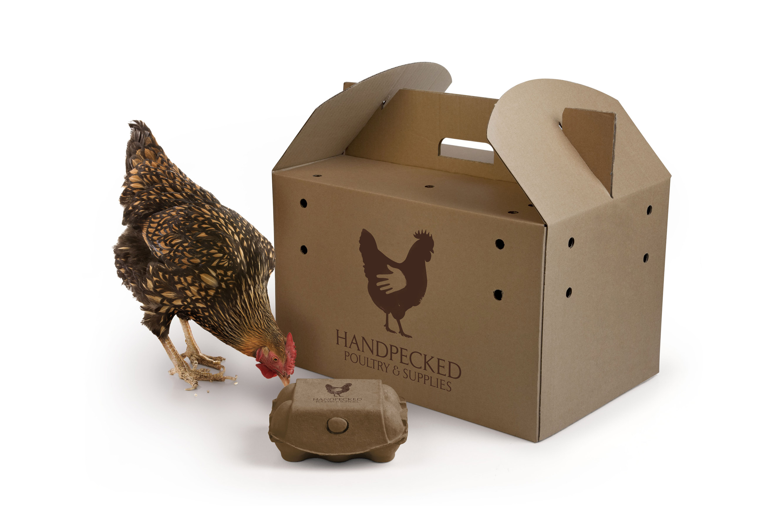 Photo: Handpecked's new brand identity