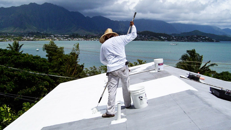 3_the-white-roof-project