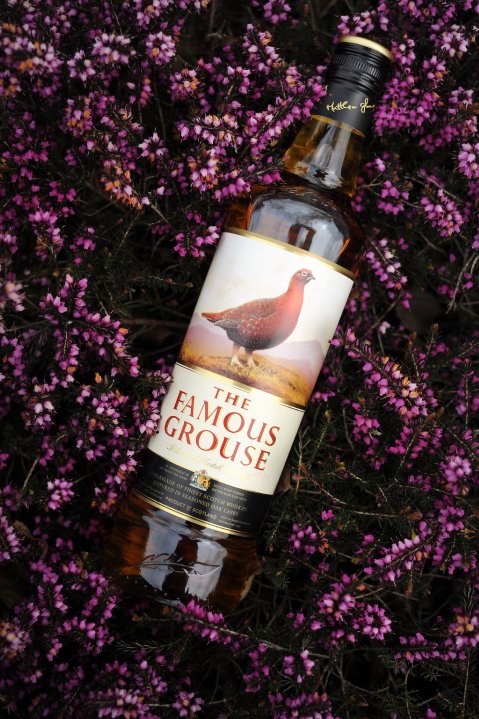 Famous Grouse New 02 POPSOP   Famous Grouse New 02 