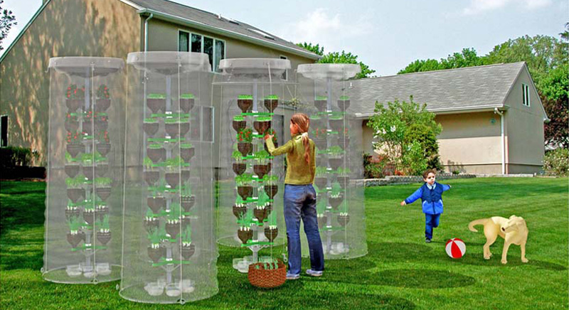 Fruits In Plastic Bottles, Vegetable Garden In Plastic Containers